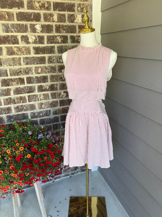 The Rośe Cost Dress